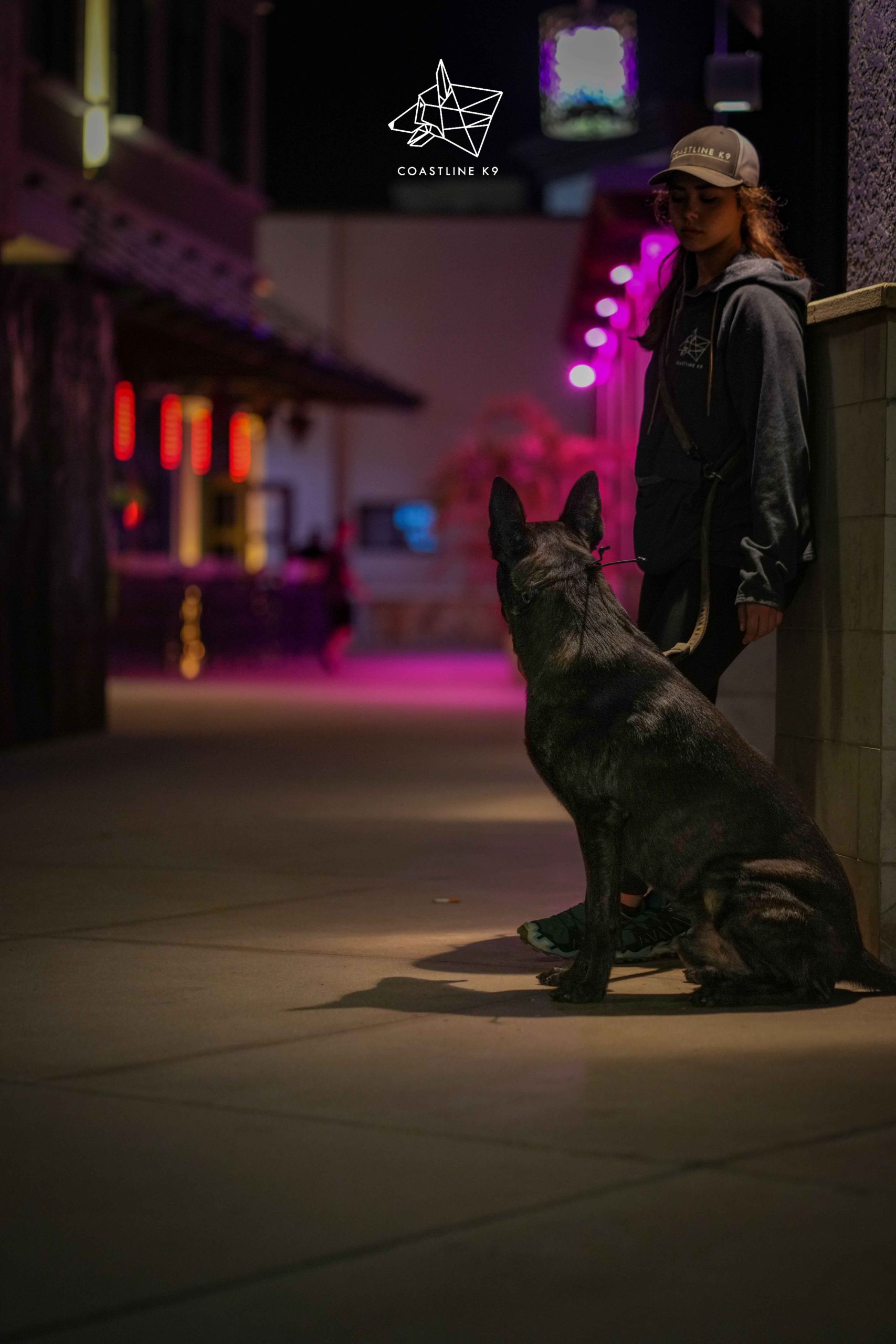 DSC00700Protection-Dog-Training-Naples-Florida-by-Coastline-K9_7_11zon