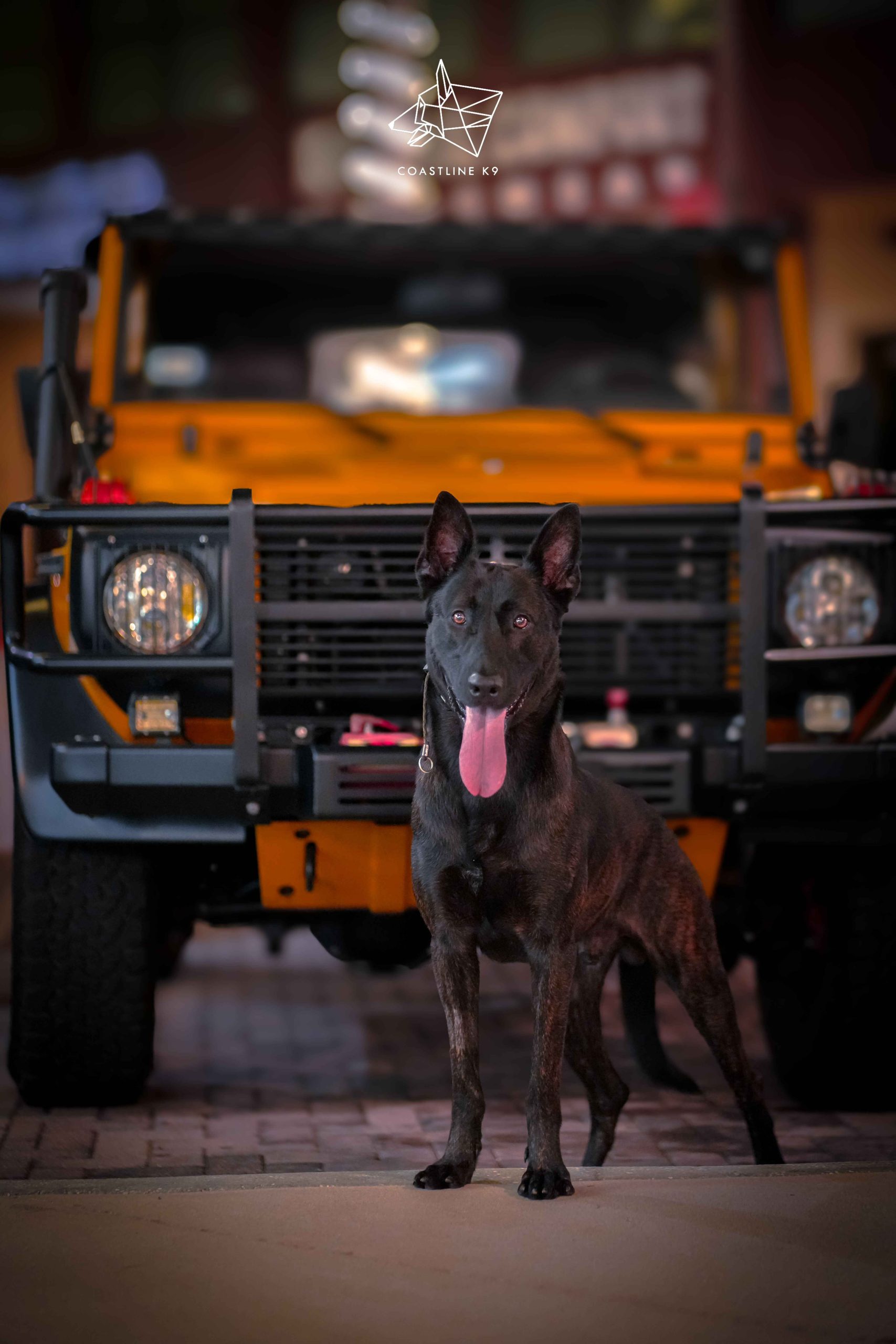 DSC00758Protection-Dog-Training-Naples-Florida-by-Coastline-K9_4_11zon