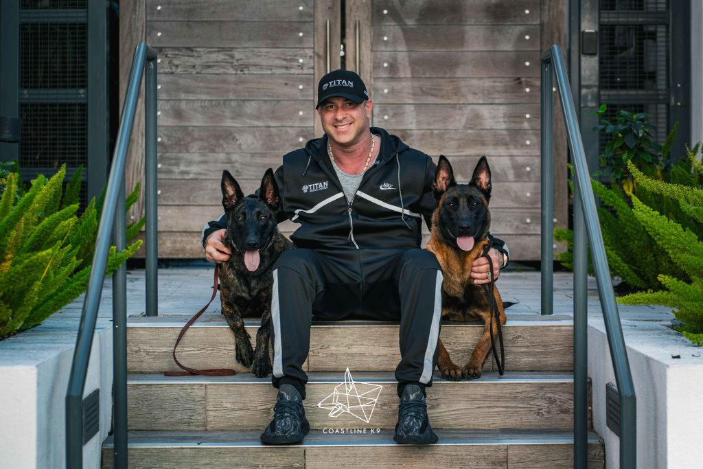 Trained family protection dog by Coastline K9 - hand delivered nationwide