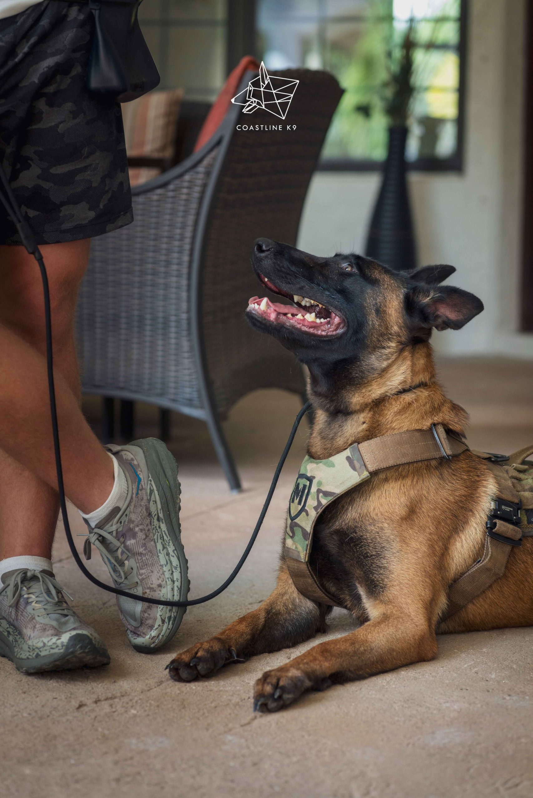 _DSC8976Protection-Dog-Training-Naples-Florida-by-Coastline-K9_5_11zon