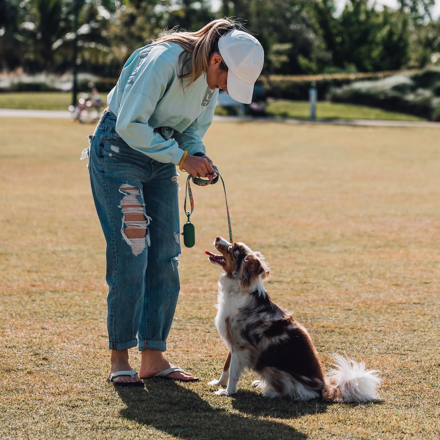 Leading-Pet-Dog-Training-Services-Naples-Florida-by-Coastline-K912