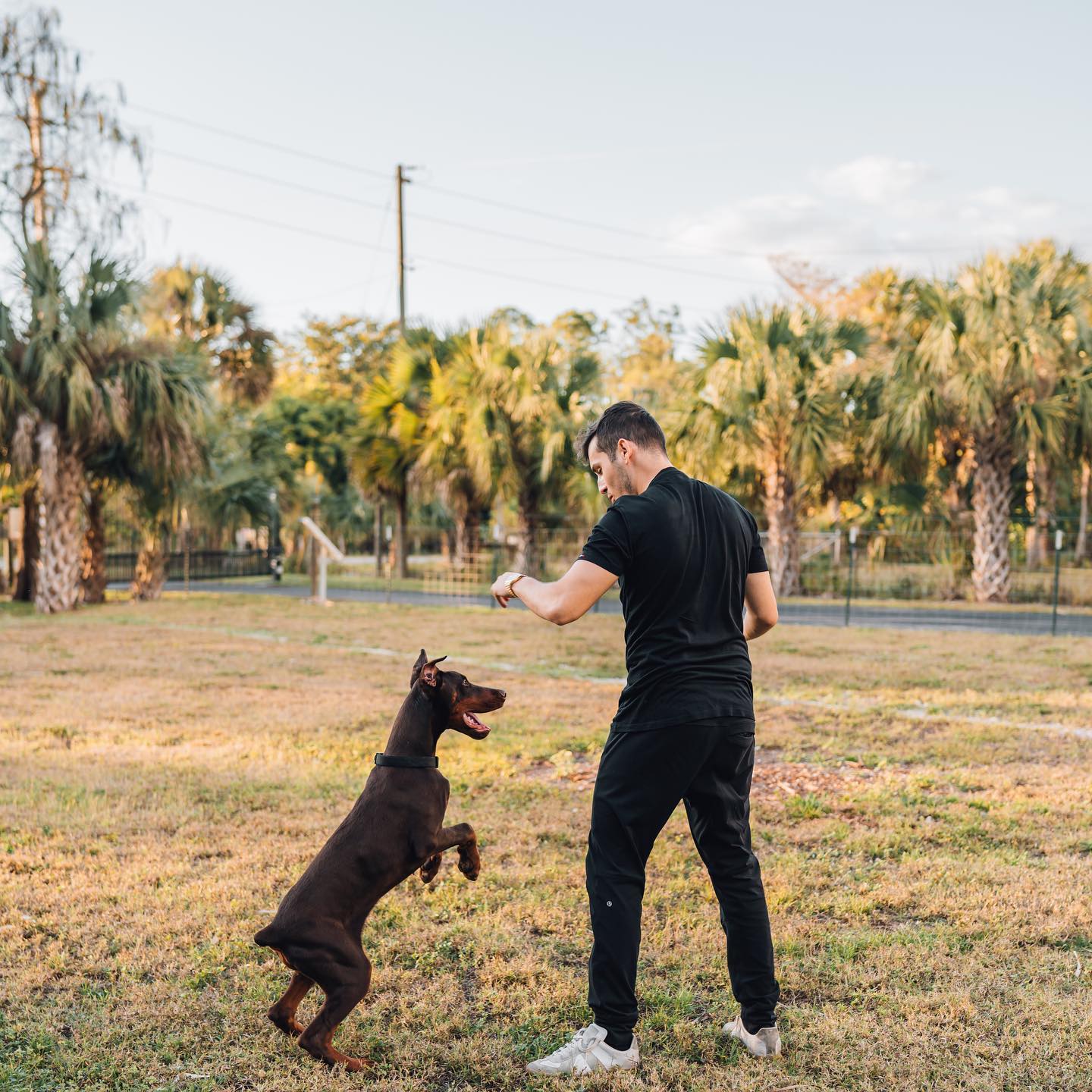 Leading-Pet-Dog-Training-Services-Naples-Florida-by-Coastline-K922
