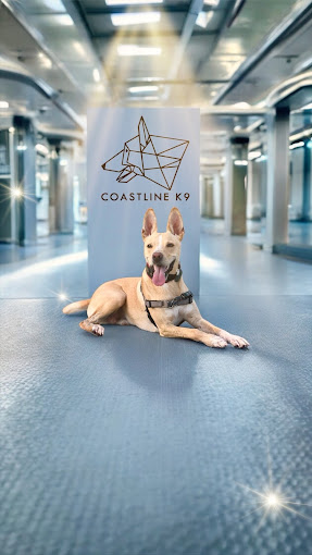 Leading-Pet-Dog-Training-Services-Naples-Florida-by-Coastline-K94