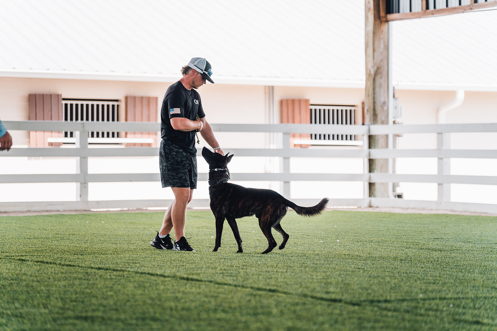 Personal protection dog training - Coastline K9 Naples Florida