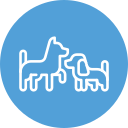 Coastline K9 - Naples Florida dog training and family protection dogs