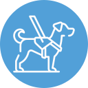 Coastline K9 - Naples Florida dog training and family protection dogs