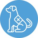 Coastline K9 - Naples Florida dog training and family protection dogs