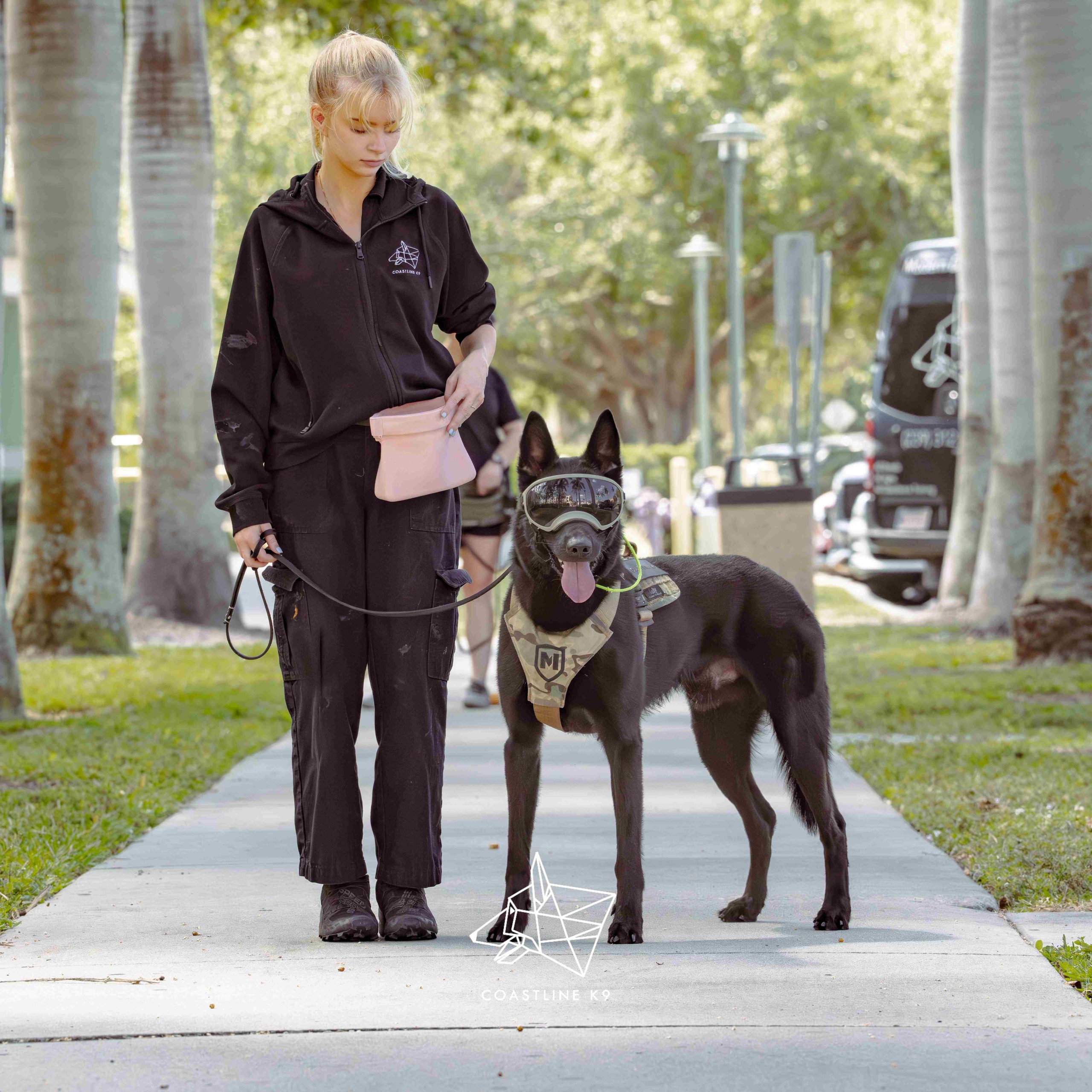 Elite-Personal-Protection-Dog-Training-Naples-FL-by-Coastline-K94