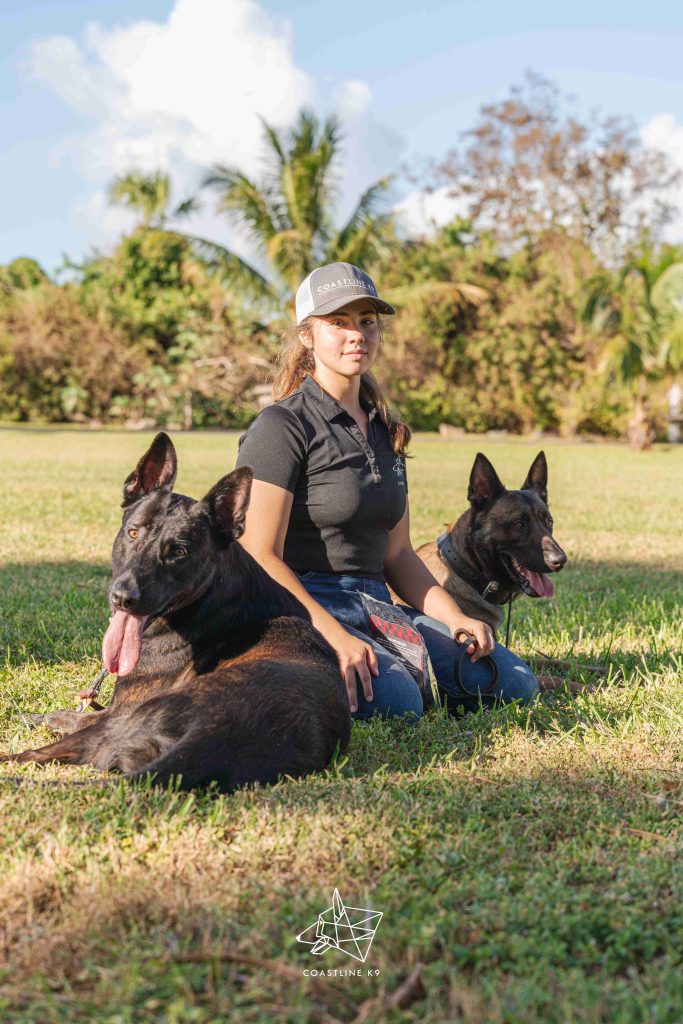 Trained family protection dog by Coastline K9 - hand delivered nationwide