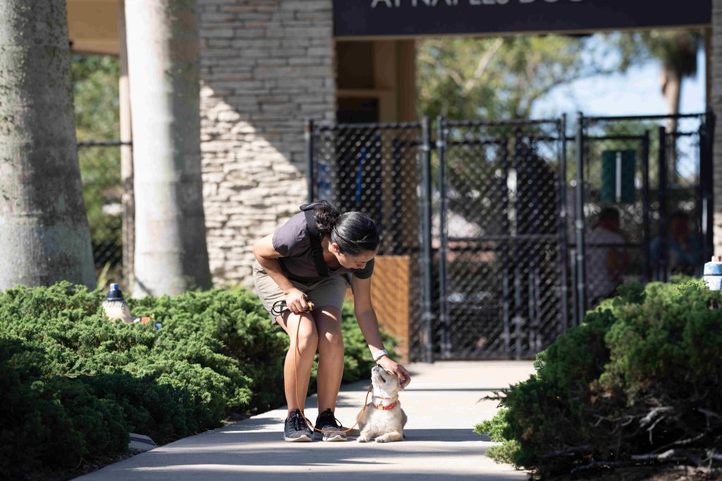 Pet dog obedience training in Naples FL by Coastline K9