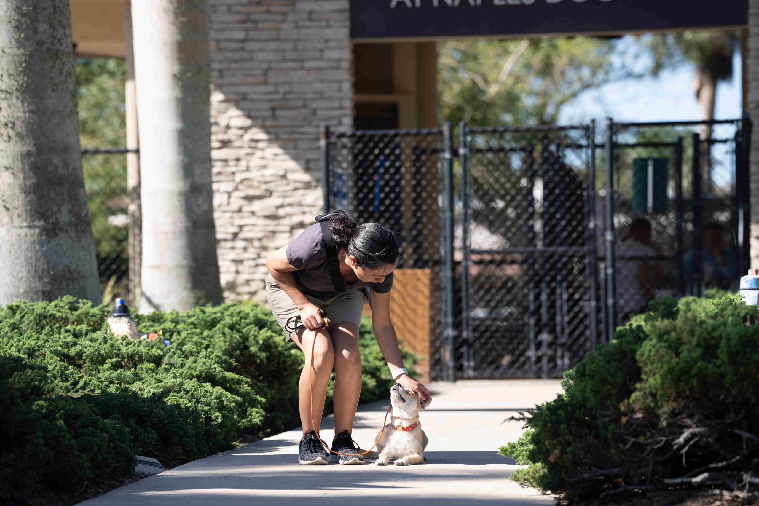 Pet-Dog-Training-Naples-FL-by-Coastline-K91