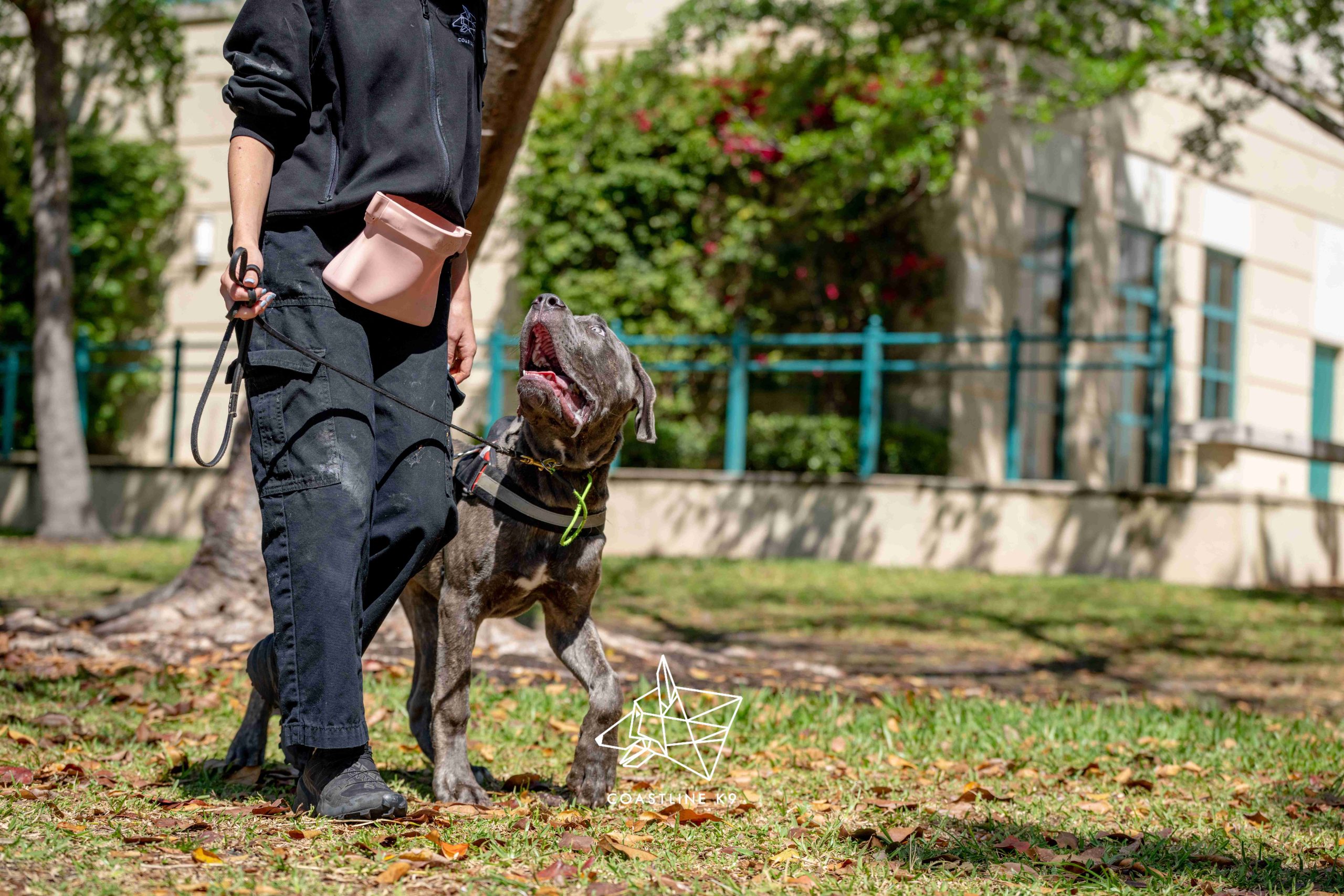 Pet-Dog-Training-Naples-FL-by-Coastline-K911
