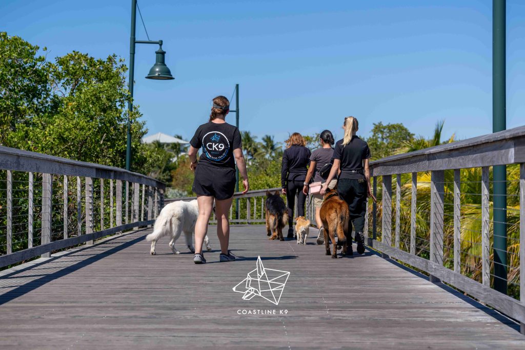 Pet dog obedience training in Naples FL by Coastline K9