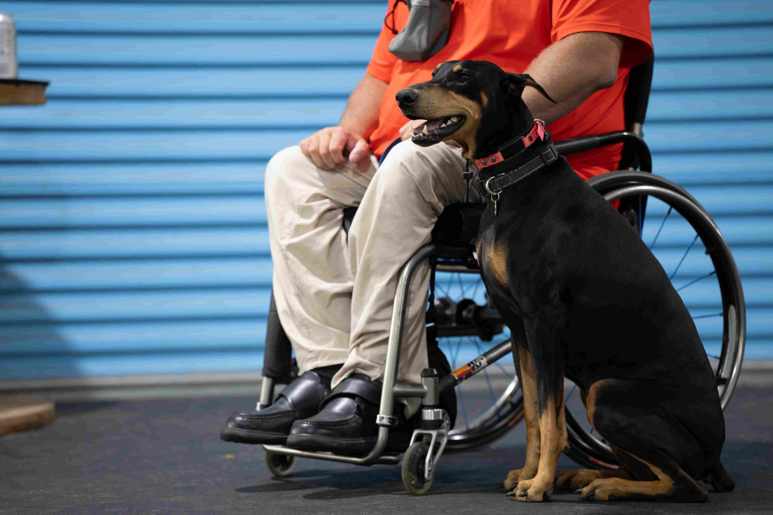 Pet-Dog-Training-Naples-FL-by-Coastline-K98