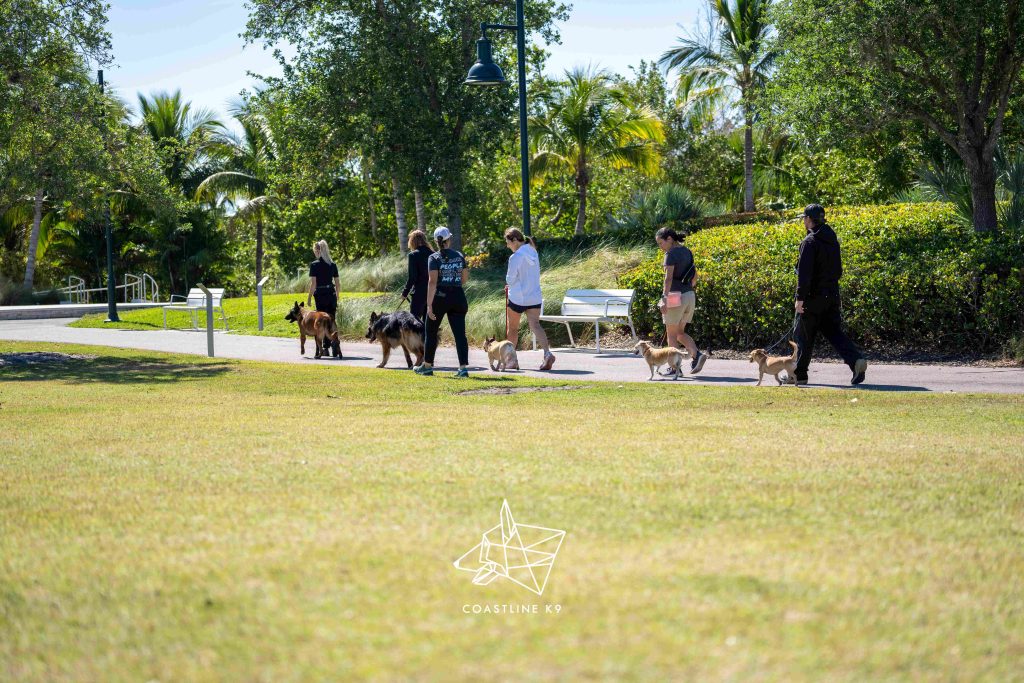 Pet dog obedience training in Naples FL by Coastline K9