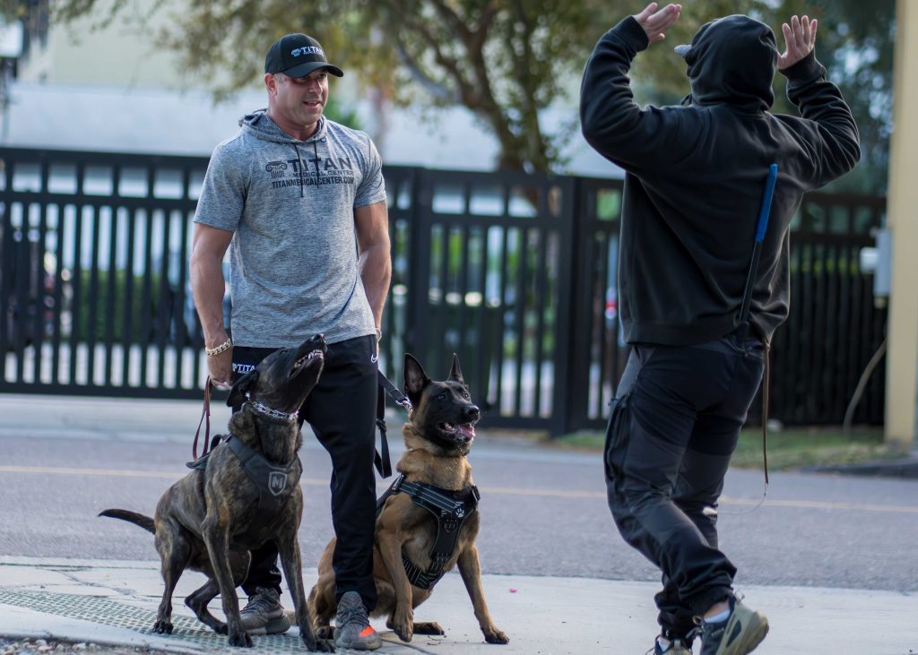 Protection - Coastline K9 Naples FL