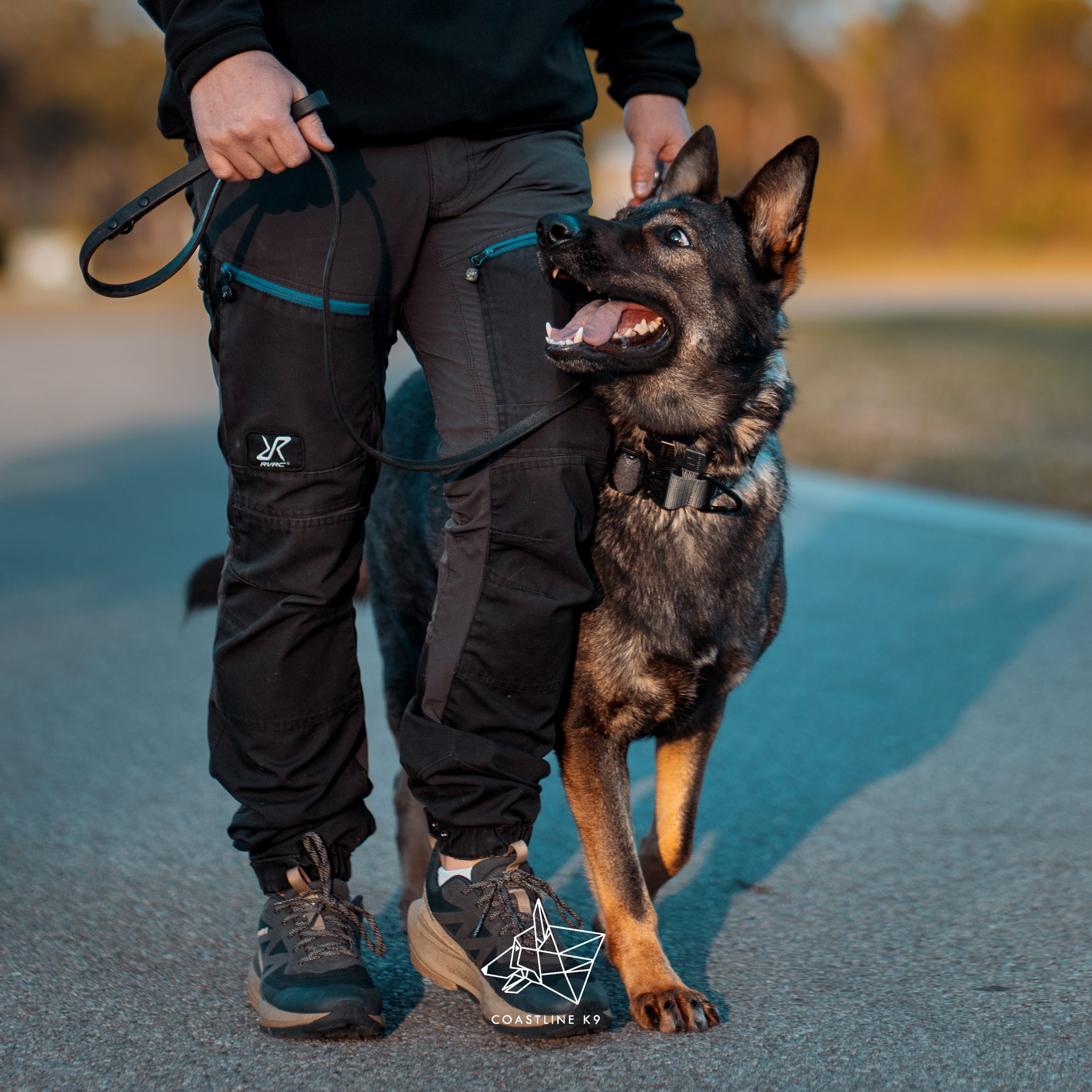 Coastline K9 behavior modification client in Old Naples FL — veteran-owned, family-trusted professional dog training serving Southwest Florida.