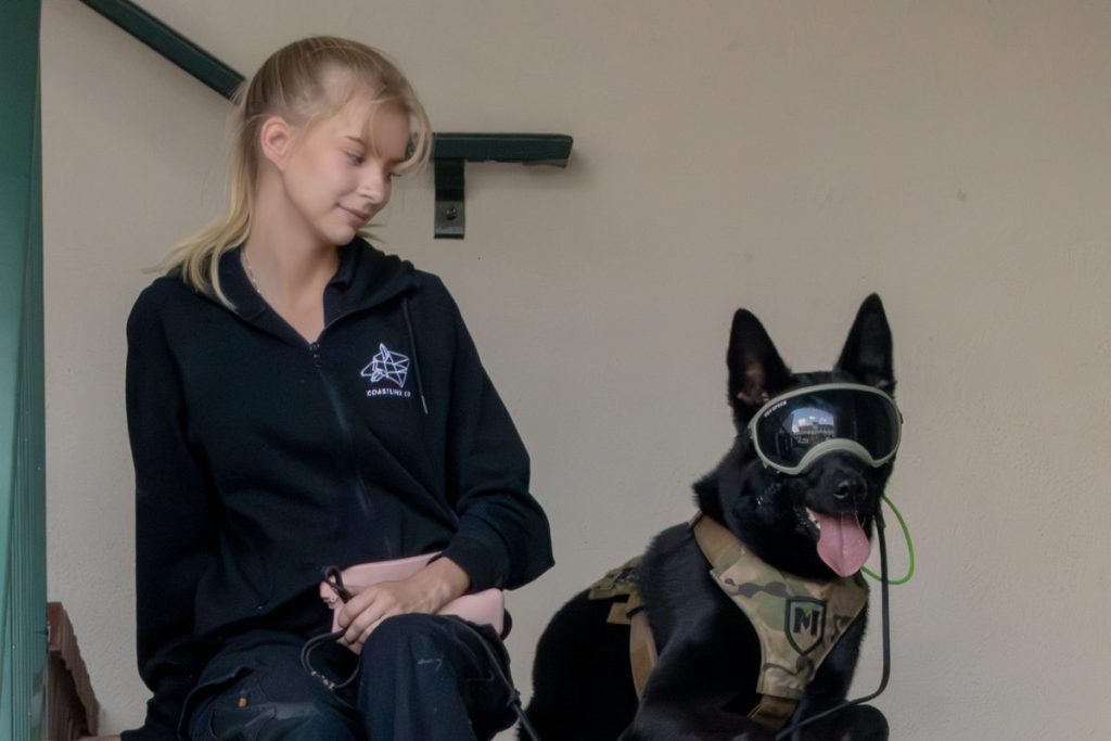Coastline K9 trainer with a black German Shepherd protection dog in goggles and harness in Naples FL